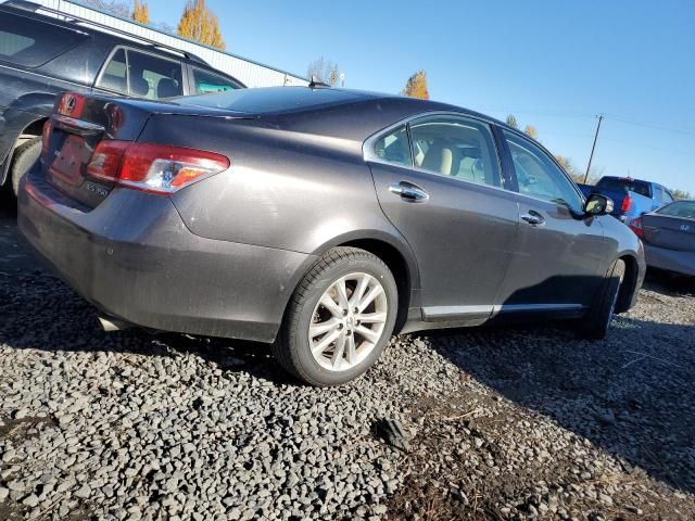 2010 Lexus ES 350