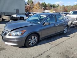 Honda Accord salvage cars for sale: 2011 Honda Accord SE