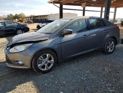 Ford Focus salvage cars for sale: 2012 Ford Focus SE