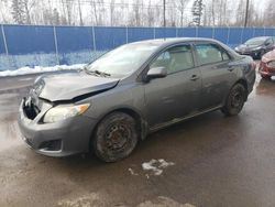 Toyota Vehiculos salvage en venta: 2010 Toyota Corolla Base