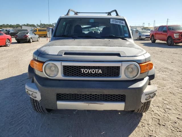 2010 Toyota FJ Cruiser