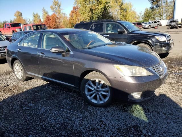 2010 Lexus ES 350