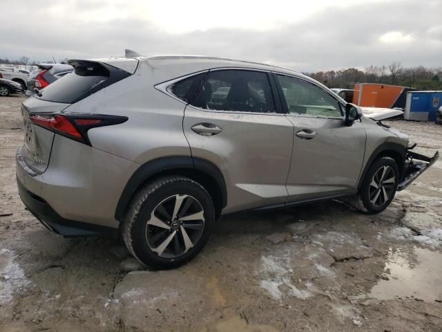 2019 Lexus NX 300 Base