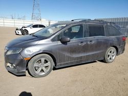 Honda Odyssey exl Vehiculos salvage en venta: 2020 Honda Odyssey EXL