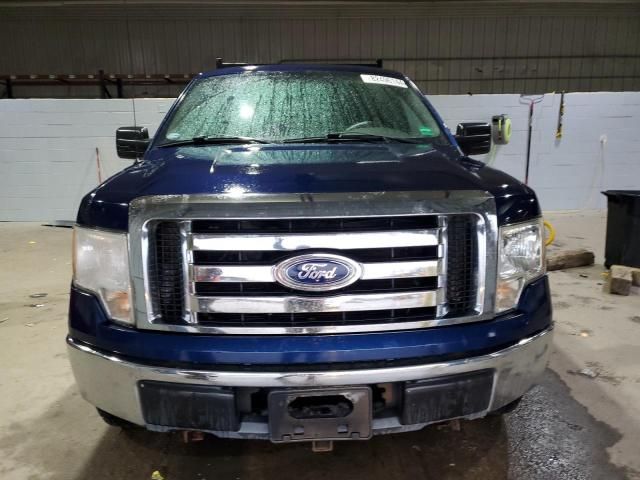 2010 Ford F150