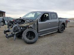 Ford f150 Laria salvage cars for sale: 2024 Ford F150 Lariat