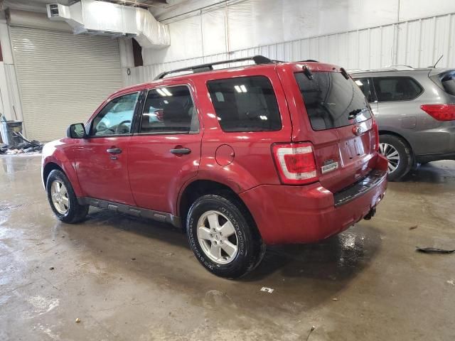 2012 Ford Escape XLT