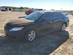 Toyota Camry salvage cars for sale: 2011 Toyota Camry Base