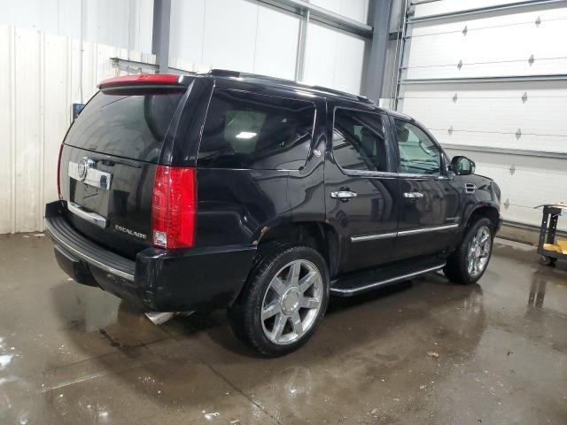 2010 Cadillac Escalade Luxury