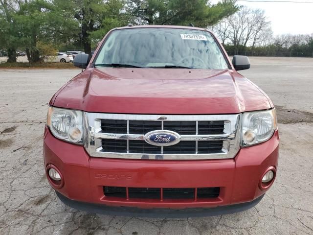 2012 Ford Escape XLT