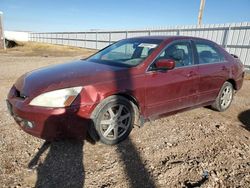 Honda salvage cars for sale: 2004 Honda Accord EX