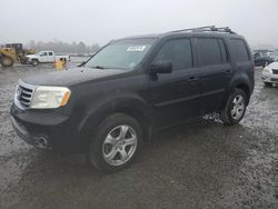 Honda Pilot salvage cars for sale: 2013 Honda Pilot EXL