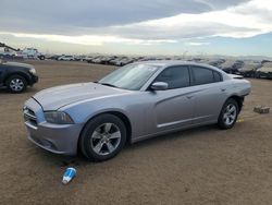 Dodge Charger salvage cars for sale: 2013 Dodge Charger SE