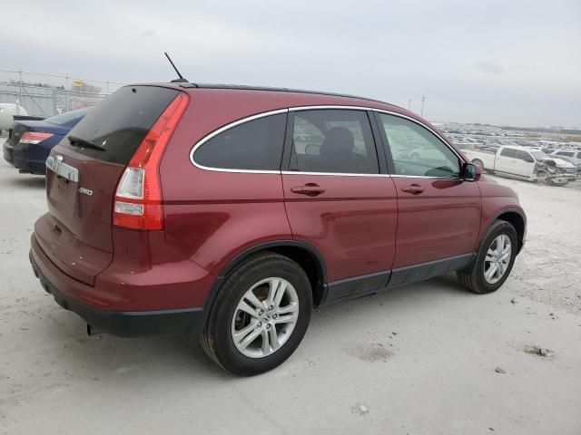 2010 Honda CR-V EXL