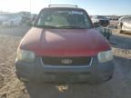 2002 Ford Escape XLT