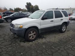 Ford Escape salvage cars for sale: 2006 Ford Escape XLT