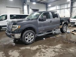 Ford f-150 salvage cars for sale: 2013 Ford F150 Supercrew