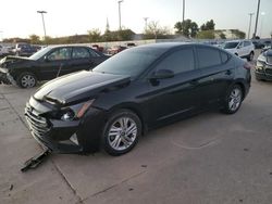 Hyundai Elantra salvage cars for sale: 2020 Hyundai Elantra SEL