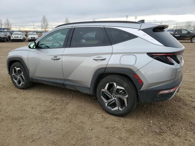 2023 Hyundai Tucson Luxury