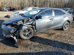 Toyota Corolla salvage cars for sale: 2017 Toyota Corolla L