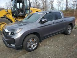 Vehiculos salvage en venta de Copart Marlboro, NY: 2024 Honda Ridgeline RTL