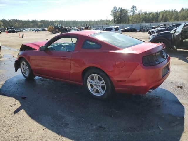 2013 Ford Mustang