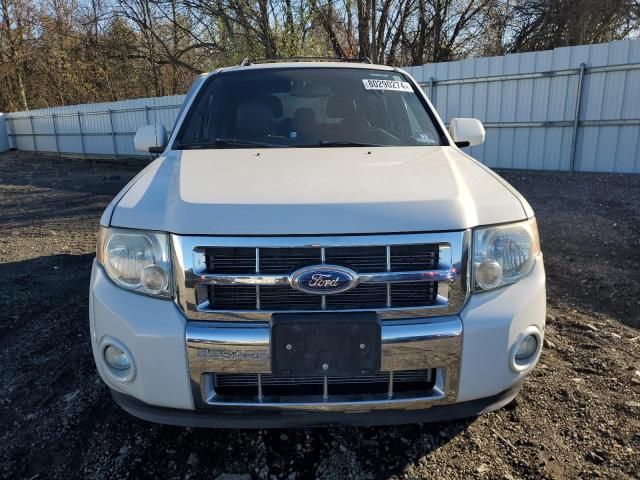 2011 Ford Escape Limited