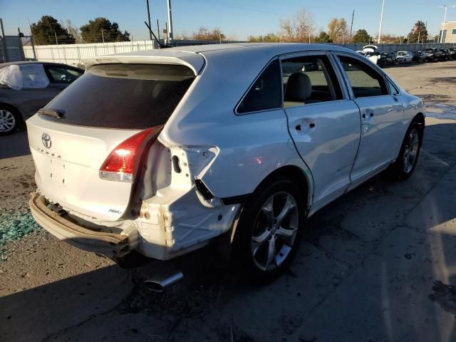 2010 Toyota Venza