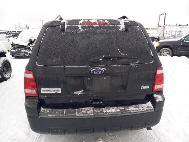 2011 Ford Escape XLT