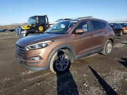 Hyundai Tucson salvage cars for sale: 2016 Hyundai Tucson Limited