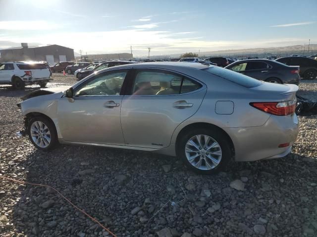 2014 Lexus ES 300H