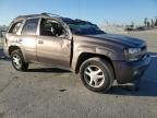 2008 Chevrolet Trailblazer LS