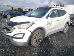 Hyundai Santa fe salvage cars for sale: 2014 Hyundai Santa FE Sport