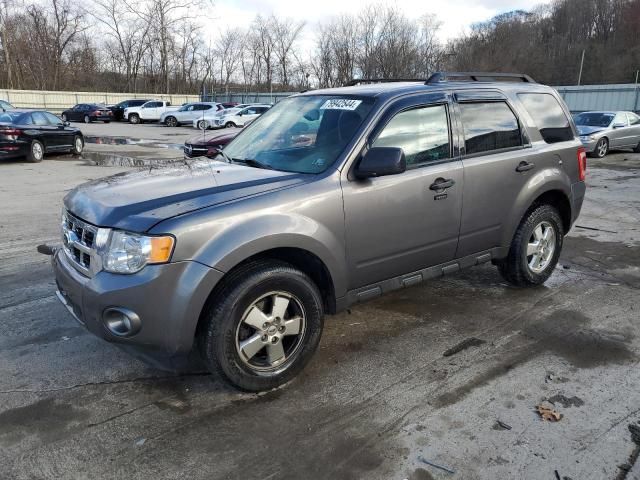 2012 Ford Escape XLT