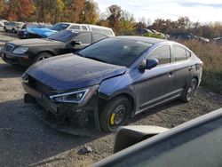 Hyundai Elantra salvage cars for sale: 2019 Hyundai Elantra SEL