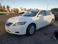 Toyota Camry salvage cars for sale: 2009 Toyota Camry Hybrid