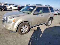 Ford Escape salvage cars for sale: 2011 Ford Escape XLT