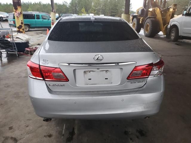 2010 Lexus ES 350