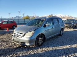 Honda Odyssey salvage cars for sale: 2007 Honda Odyssey Touring