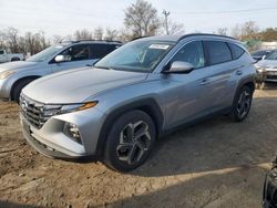 Hyundai salvage cars for sale: 2024 Hyundai Tucson SEL