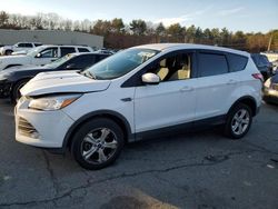 Ford salvage cars for sale: 2016 Ford Escape SE