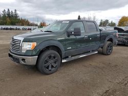 Salvage cars for sale from Copart Bowmanville, ON: 2012 Ford F150 Supercrew