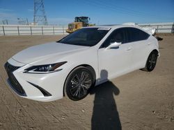 Lexus es300 salvage cars for sale: 2024 Lexus ES 300H Base