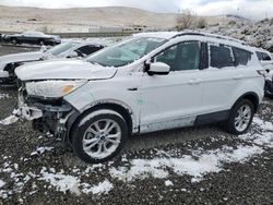 Ford Escape salvage cars for sale: 2018 Ford Escape SE