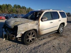 Cadillac salvage cars for sale: 2007 Cadillac Escalade Luxury