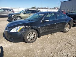 Nissan Vehiculos salvage en venta: 2010 Nissan Altima Base