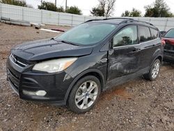 Ford Escape sel Vehiculos salvage en venta: 2013 Ford Escape SEL