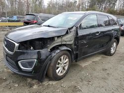 KIA Sorento salvage cars for sale: 2017 KIA Sorento LX