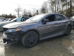 Toyota Camry salvage cars for sale: 2019 Toyota Camry L