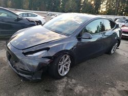 Tesla Model y salvage cars for sale: 2024 Tesla Model Y